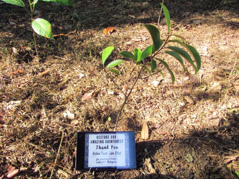 2022 05 relev tech sdn bhd tree photo 1 (1)